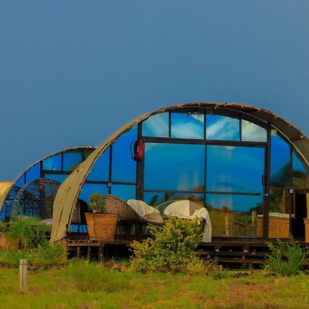 Amanya 2-Rooms Lioness Family Amboseli Bagian luar foto