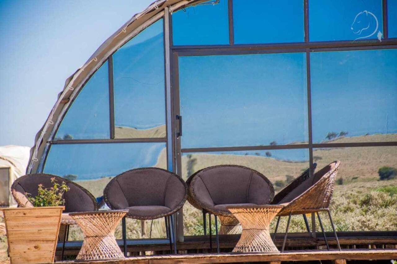 Amanya 2-Rooms Lioness Family Amboseli Bagian luar foto