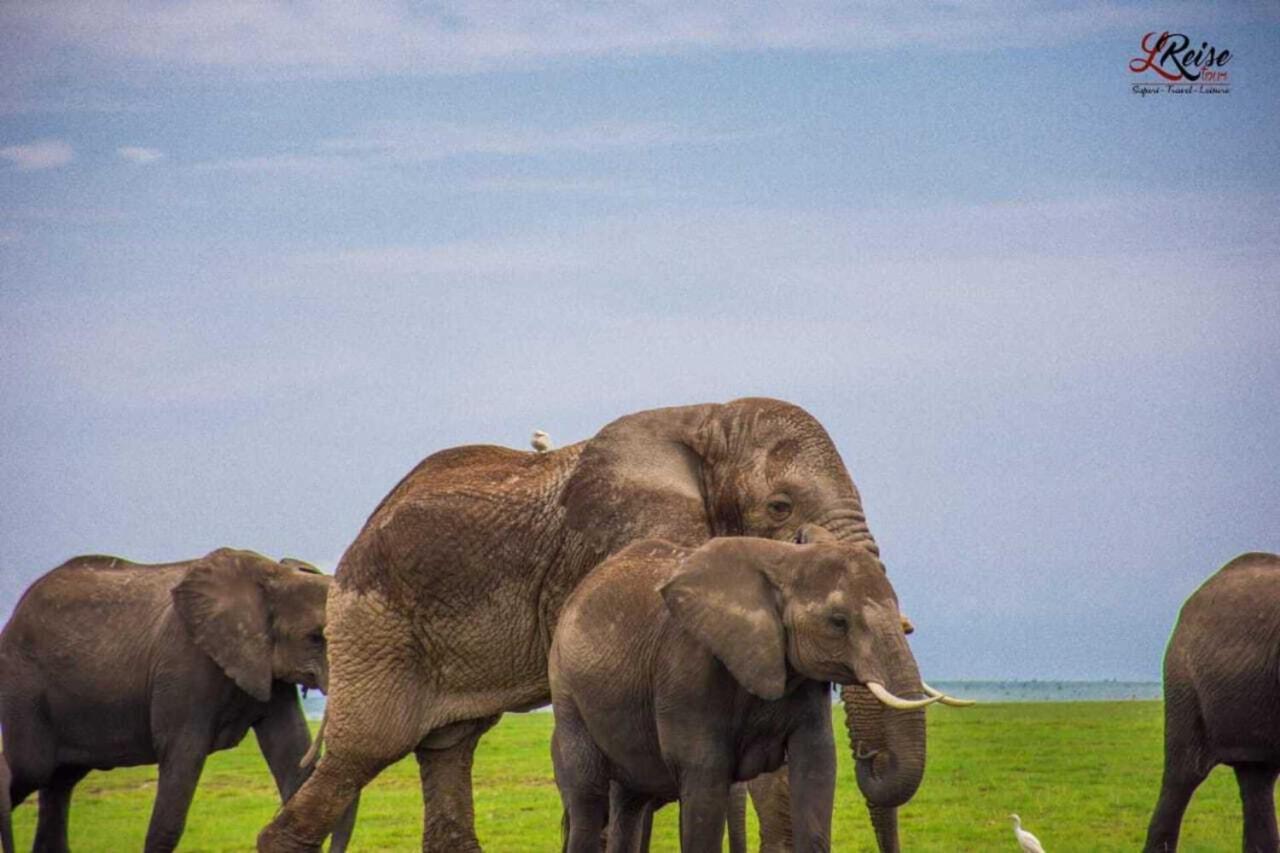 Amanya 2-Rooms Lioness Family Amboseli Bagian luar foto