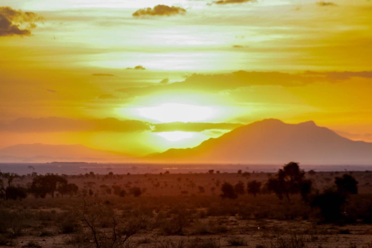 Amanya 2-Rooms Lioness Family Amboseli Bagian luar foto