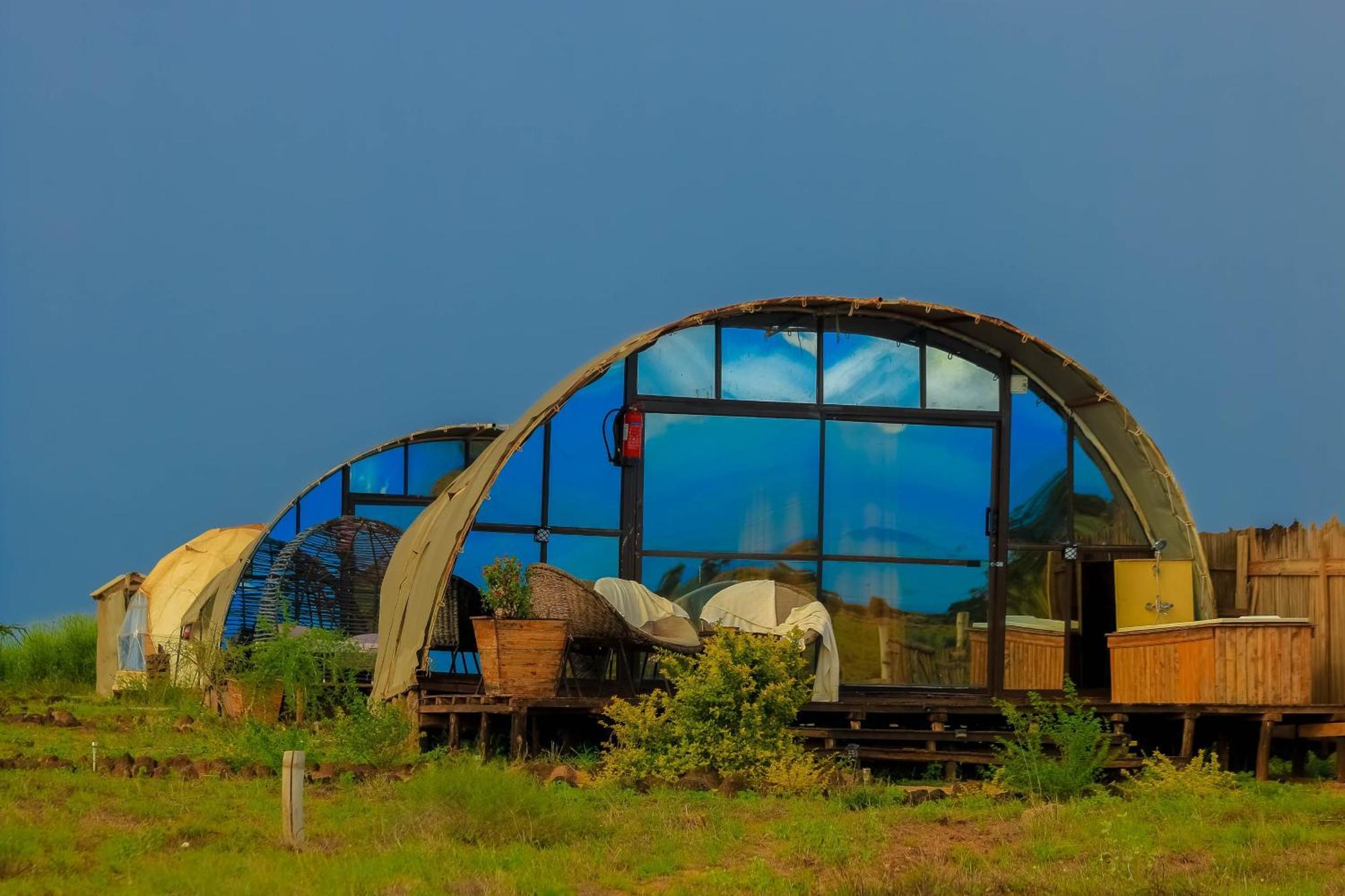 Amanya 2-Rooms Lioness Family Amboseli Bagian luar foto