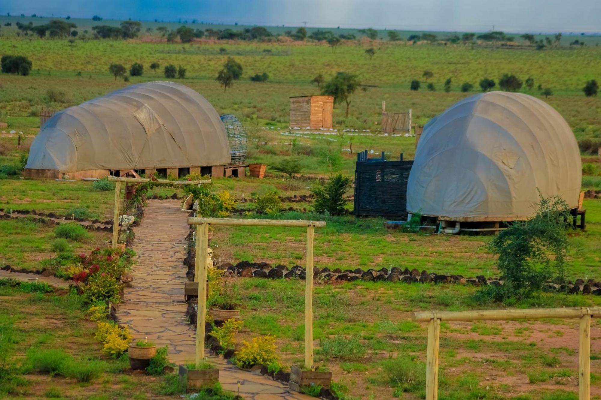 Amanya 2-Rooms Lioness Family Amboseli Bagian luar foto